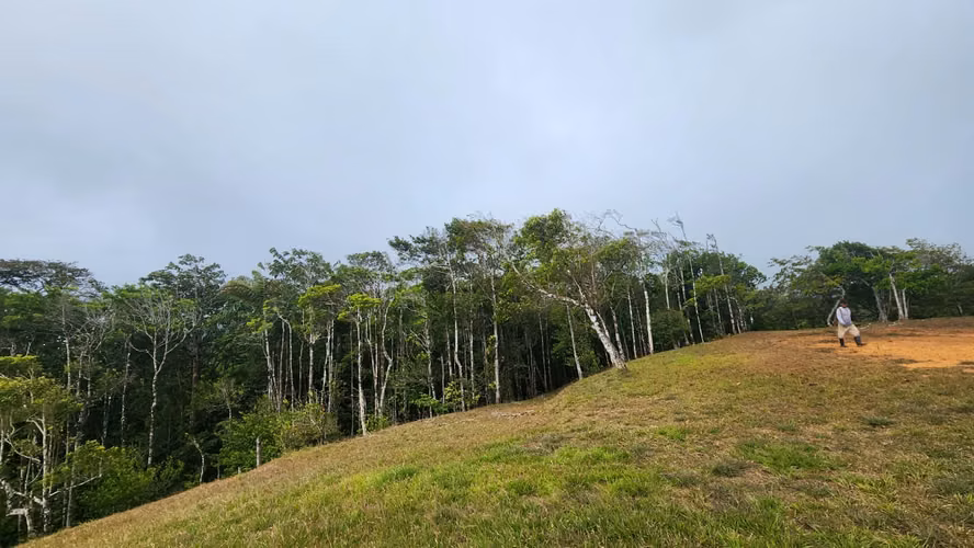 CERRO AZUL- 55 HECTÁREAS DE BOSQUE PREMONTAÑOSO CON AGUA, ACCESO Y POTENCIAL DE DESARROLLO
