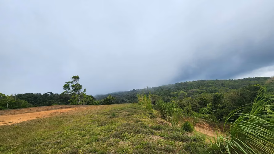 CERRO AZUL- 55 HECTÁREAS DE BOSQUE PREMONTAÑOSO CON AGUA, ACCESO Y POTENCIAL DE DESARROLLO