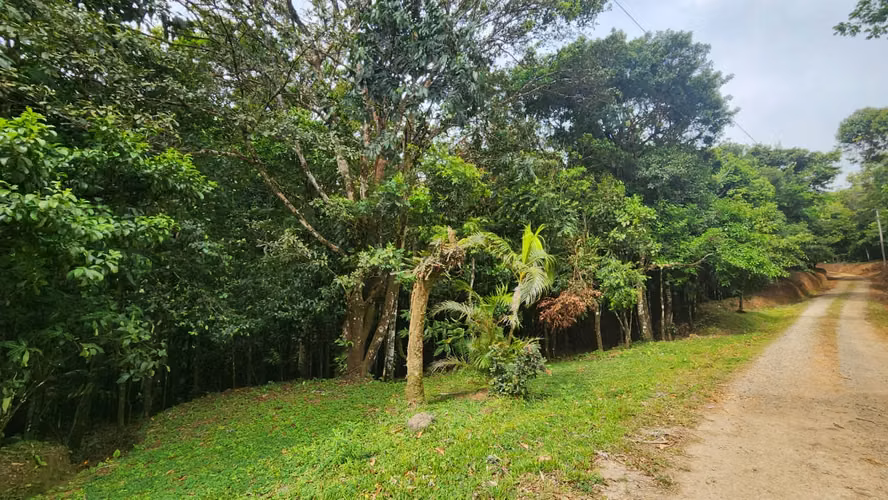 CERRO AZUL- 55 HECTÁREAS DE BOSQUE PREMONTAÑOSO CON AGUA, ACCESO Y POTENCIAL DE DESARROLLO