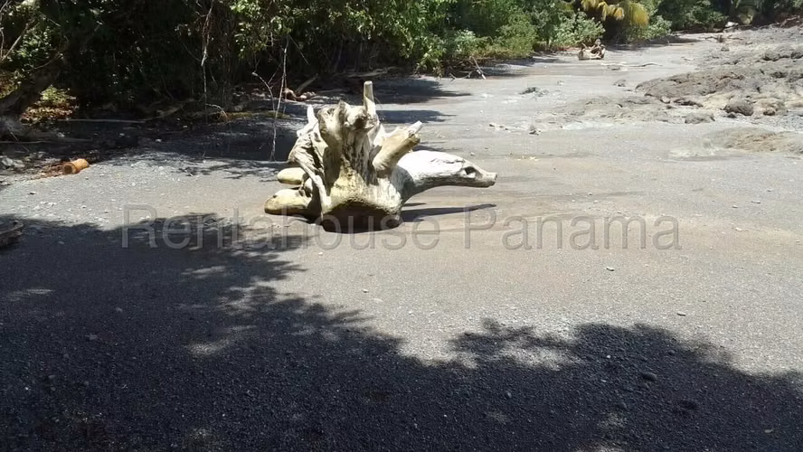 Vendo Terreno en Veraguas OF25-4853 - Imagen 8
