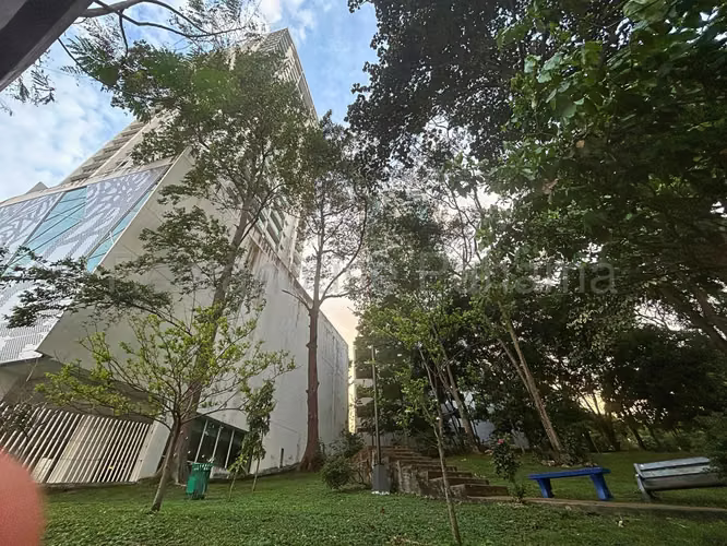 Alquiler en PH Foresta Towers - Hato Pintado / Amoblado 26-8468BTE