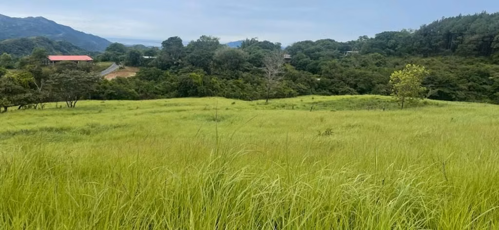 ÚNICA  OPORTUNIDAD DE INVERSIÓN  REMATE SE VENDE 13.9 HECTÁREAS  CERCA A ALTOS DEL MARIA SORÁ  CHAME