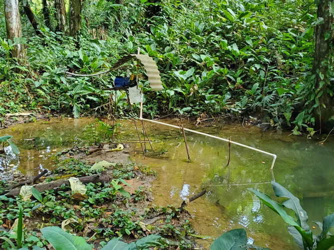 VENTA TERRENO EN BOCAS DEL TORO