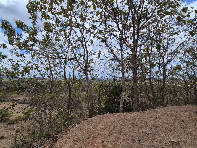 VENDO Terreno $1.15/m2, 17.9 Hectáreas x urbanizar o uso Agropecuario..