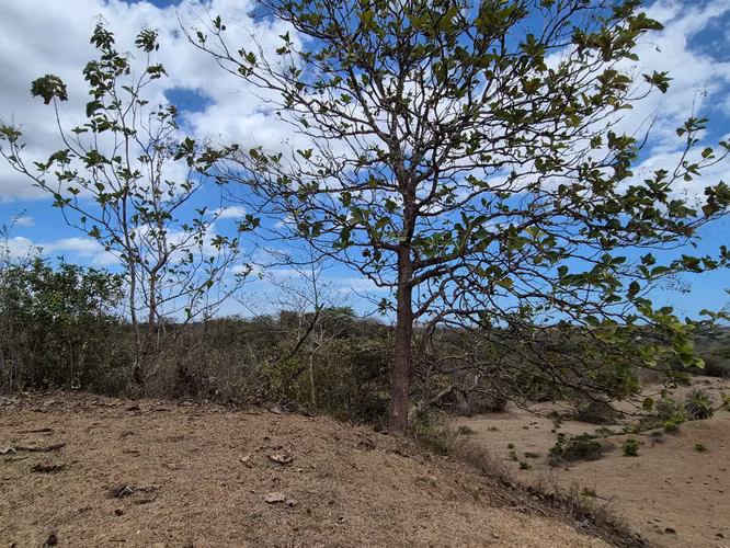 VENDO Terreno $1.15/m2, 17.9 Hectáreas x urbanizar o uso Agropecuario..