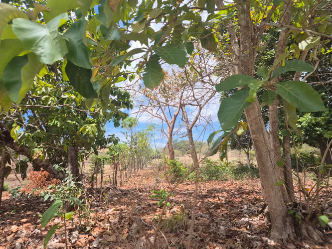 VENDO Terreno $1.15/m2, 17.9 Hectáreas x urbanizar o uso Agropecuario..
