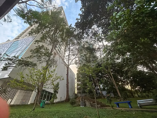 Alquiler de Apartamento en Hato Pintado Ph Foresta Tower CCO