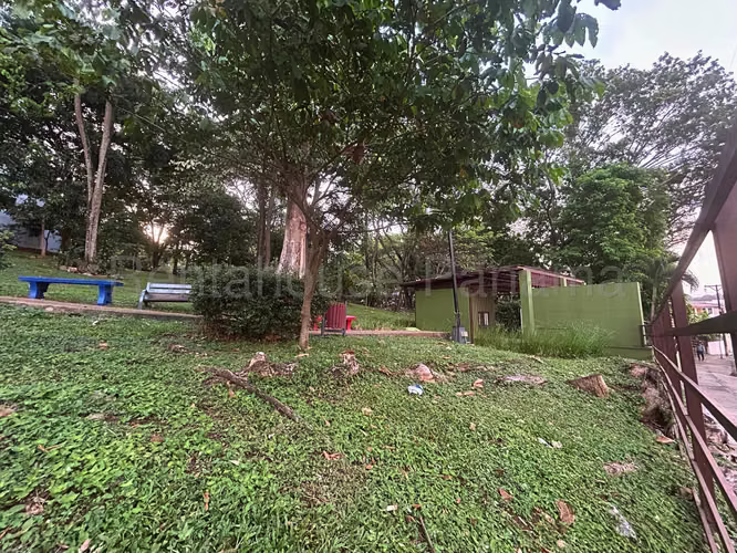 Alquiler de Apartamento en Hato Pintado Ph Foresta Tower CCO