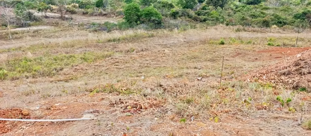 Vendo lindos lotes , en valle de Antón