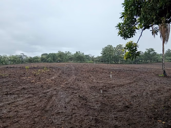 Farm for agricultural use, with well and energy in the linden, in Coclé
