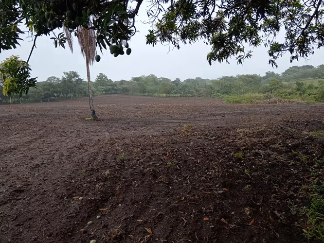 Finca uso agrícola , con pozo y energía en el lindero, en Coclé