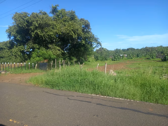 Venta de Terreno en Las Tablas Pocrí/Parritilla  15.5 Hectáreas - Imagen 10