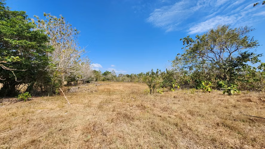 Venta de Terreno en Las Tablas Pocrí/Parritilla  15.5 Hectáreas - Imagen 2