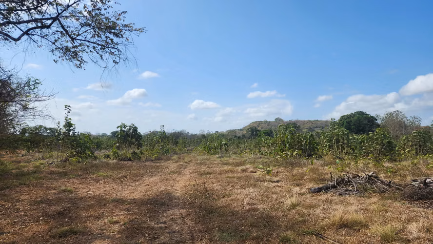 Venta de Terreno en Las Tablas Pocrí/Parritilla  15.5 Hectáreas - Imagen 11