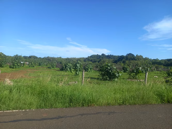 Venta de Terreno en Las Tablas Pocrí/Parritilla  15.5 Hectáreas - Imagen 9