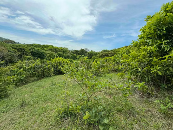VENTA DE TERRENO EN SORA MCD25-9511