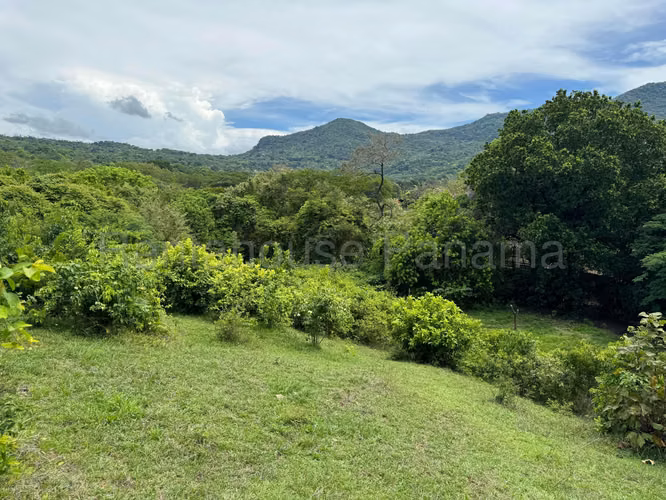 VENTA DE TERRENO EN SORA MCD25-9511