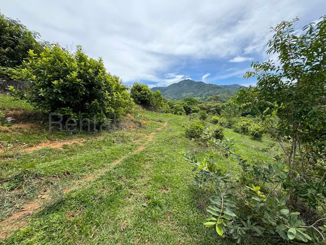VENTA DE TERRENO EN SORA MCD25-9511