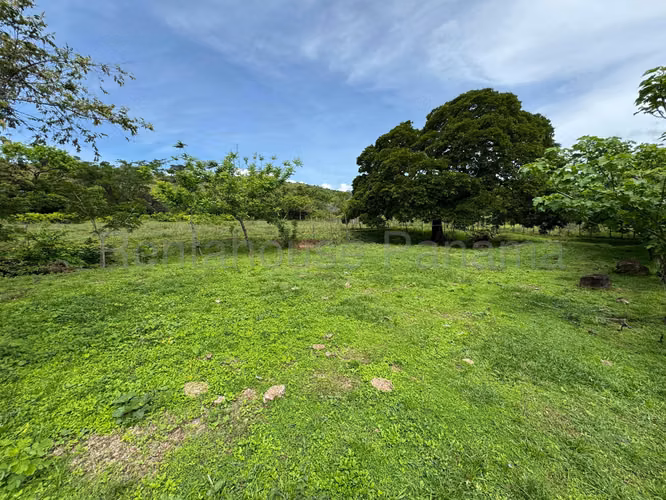 VENTA DE TERRENO EN SORA MCD25-9511