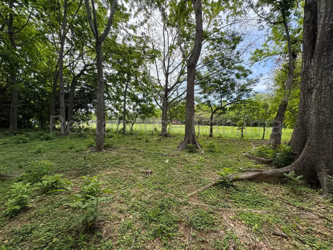 VENTA DE TERRENO EN SORA MCD25-9511