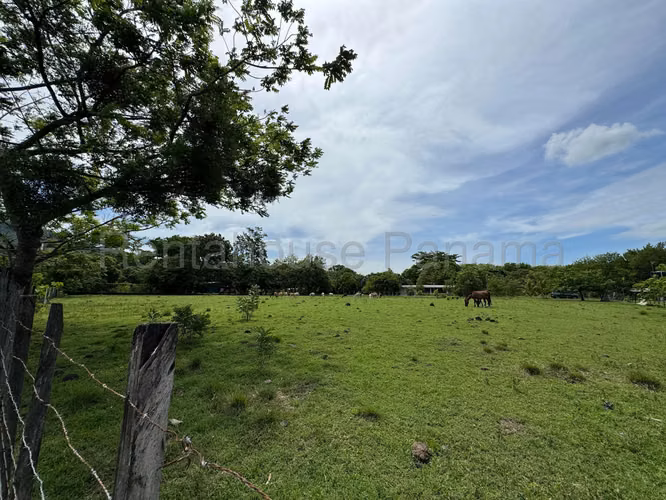 VENTA DE TERRENO EN SORA MCD25-9511