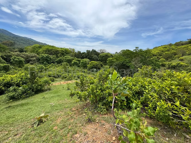 VENTA DE TERRENO EN SORA MCD25-9511
