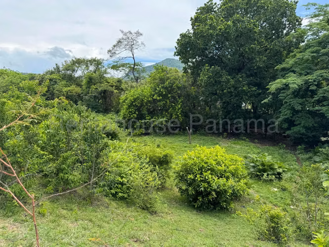 VENTA DE TERRENO EN SORA MCD25-9511
