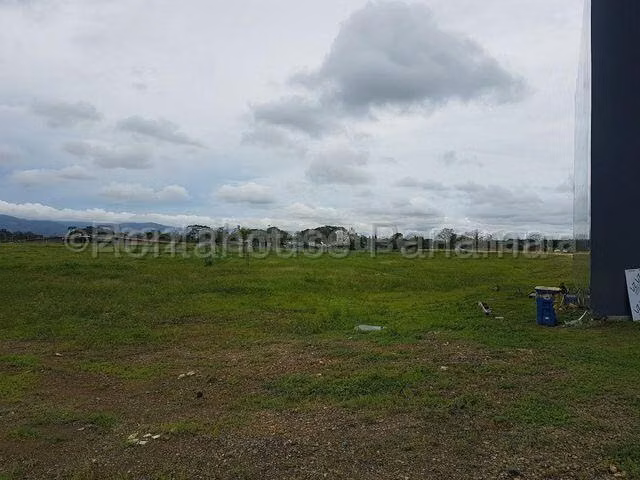 ALQUILER DE GALERA EN TOCUMEN ESM26-6025