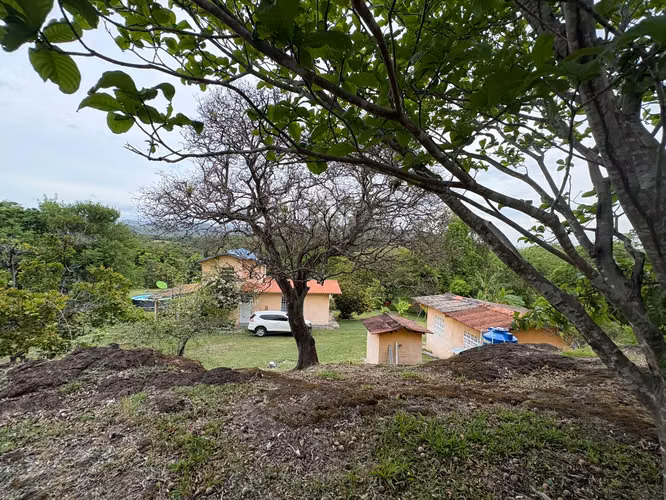  Finca Productiva de 2.67 Hectáreas Cerca de Coronado | Casa + Pozo + Árboles Frutales |