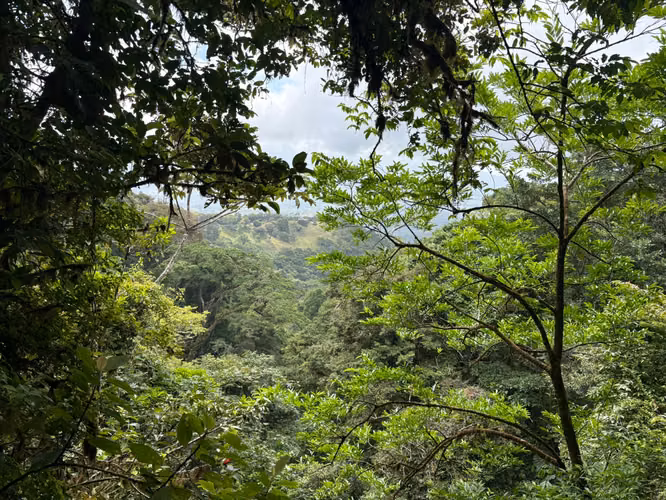  TERRENO EN VENTA – SANTIAGO APÓSTOL, ALTOS DE MARÍA - Imagen 4