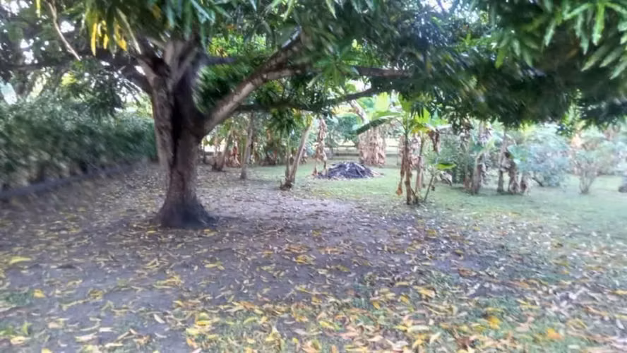 SE VENDE LOTES DE PLAYA JUAN HOMBRÓN COCLÉ