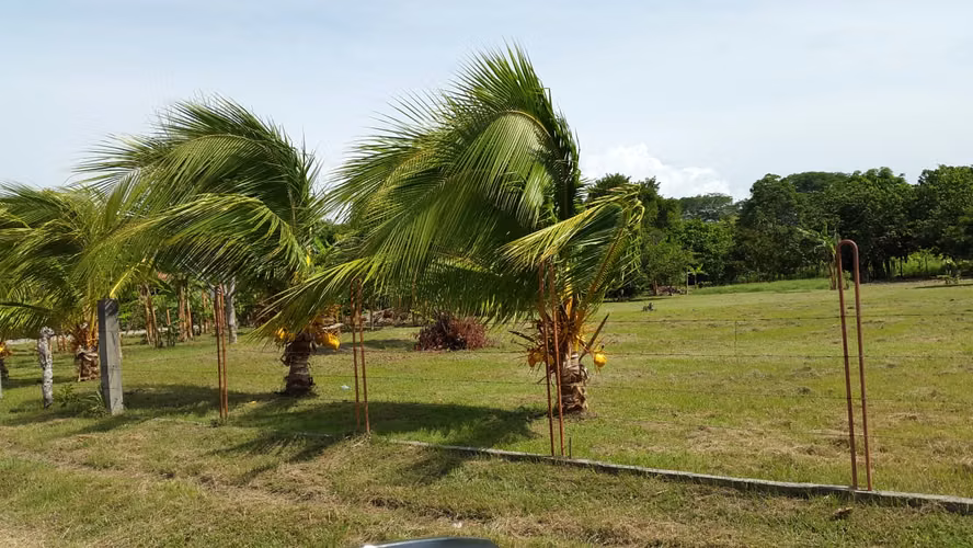 SE VENDE LOTES DE PLAYA JUAN HOMBRÓN COCLÉ