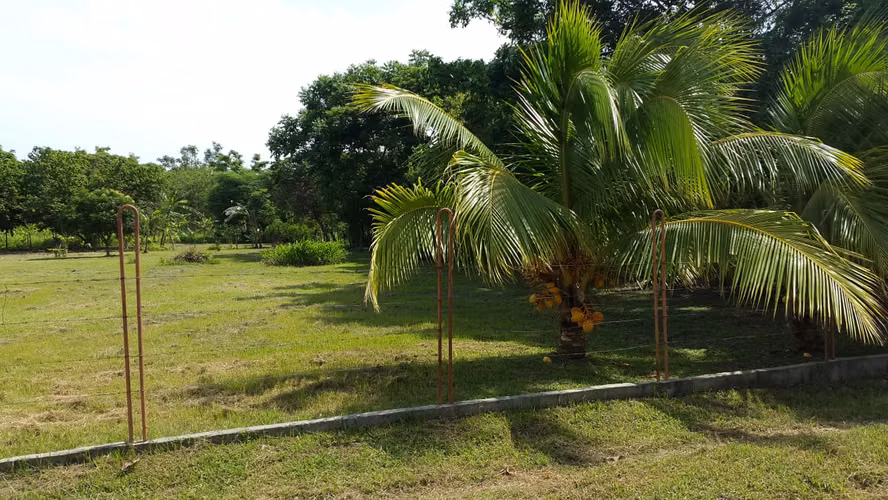 SE VENDE LOTES DE PLAYA JUAN HOMBRÓN COCLÉ