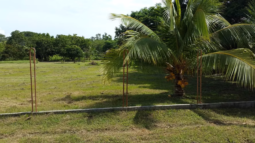 SE VENDE LOTES DE PLAYA JUAN HOMBRÓN COCLÉ