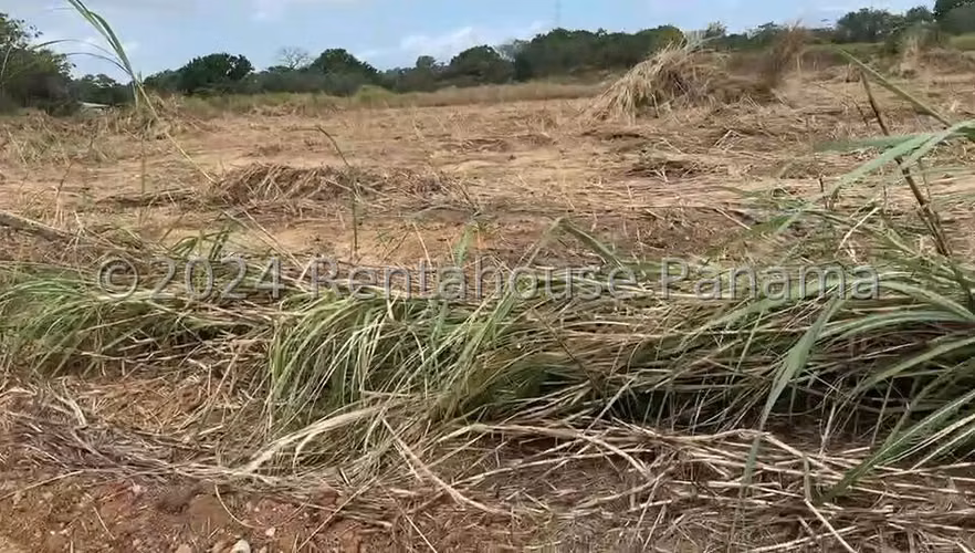 ALQUILER TERRENO TANARA VIA CHEPO