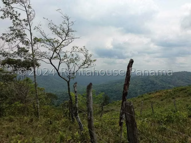 Venta de Terreno en Pacora Lote en Cerro Azul NS
