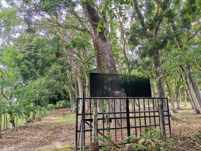 SE VENDE FINCA con alto potencial  EN BEJUCO.   CHAME - Imagen 13