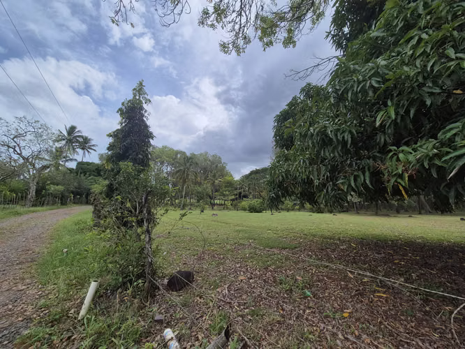 SE VENDE FINCA con alto potencial  EN BEJUCO.   CHAME