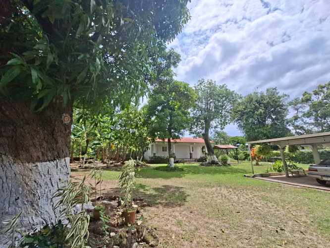 VENDO ANTÓN Dos casas y Terreno con hermosos árboles + 1,000 m2