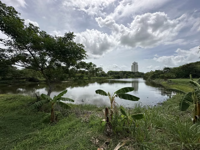 5 Lotes Frente al Lago dentro la garita de Coronado para Venta