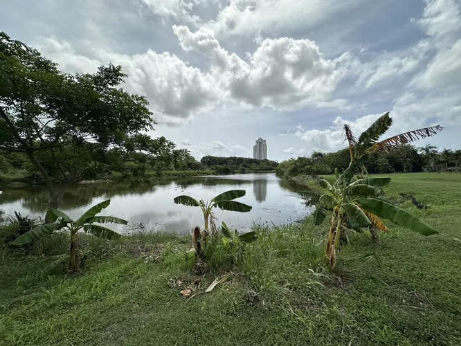 5 Lotes Frente al Lago dentro la garita de Coronado para Venta