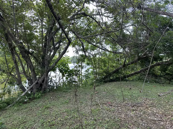 5 Lotes Frente al Lago dentro la garita de Coronado para Venta