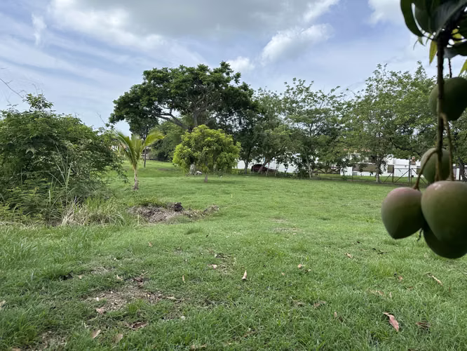 5 Lotes Frente al Lago dentro la garita de Coronado para Venta