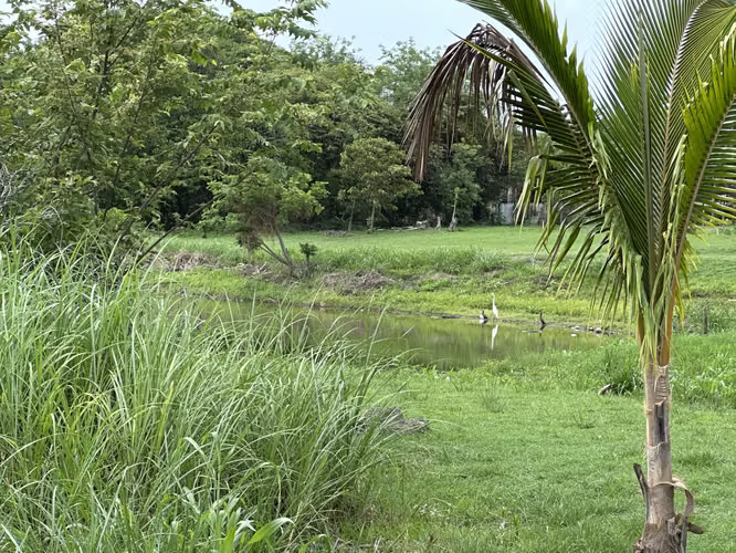 5 Lotes Frente al Lago dentro la garita de Coronado para Venta