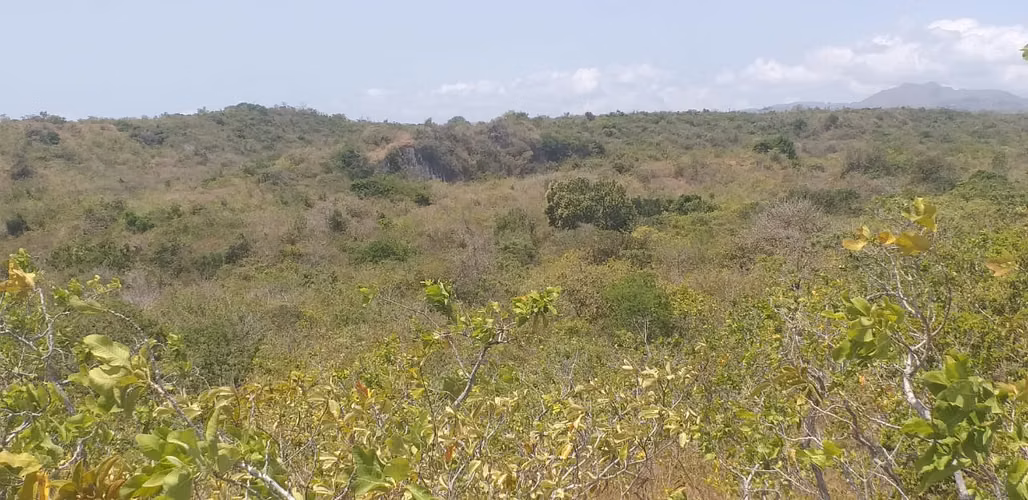 SE VENDE 50 HECTÁREAS DE TERRENO VIRGEN EN SAN CARLOS