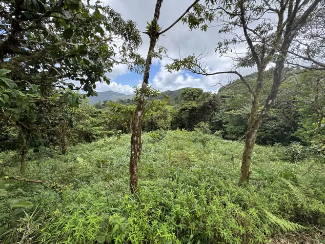 Venta de Lote o Terreno en Altos del María - Navarra