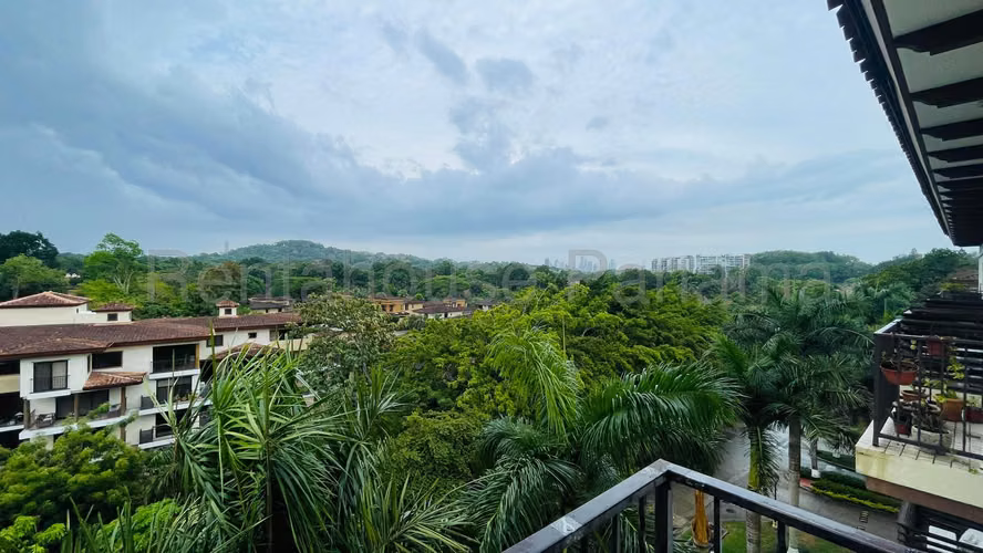Alquiler de Exclusivo Apartamento en Albrook 26*8433Mfk