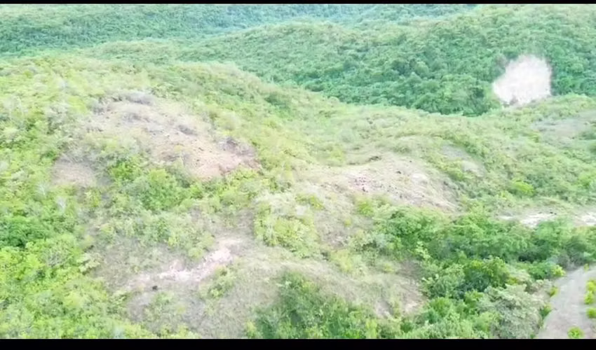 SEVENDE 12 HECTÁREAS DE TERRENO VIRGEN EN SAN CARLOS