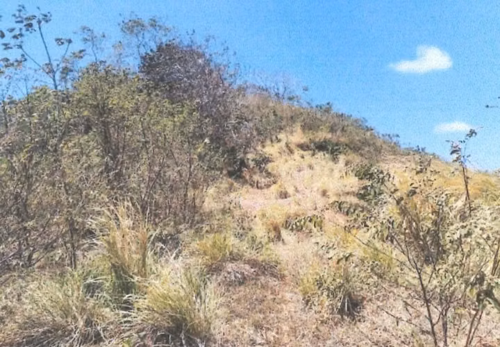 VENTA DE TERRENO EN PEDASI