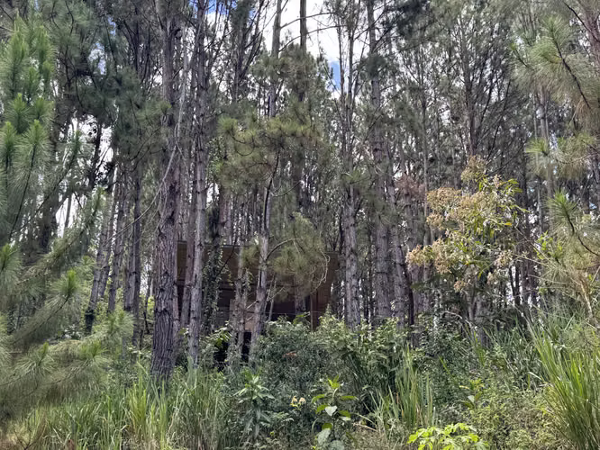 Venta de Lote o terreno an Altos del María - Asturias